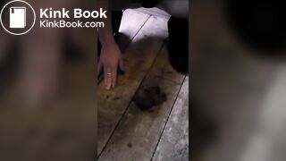 solo scat girl - video 42