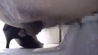 japanese poop 51