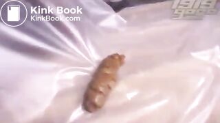 Big turd from sexy asian