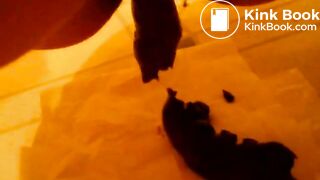 obscure amateur pee and poop