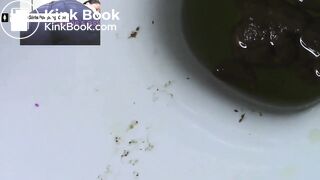 Toilet close up