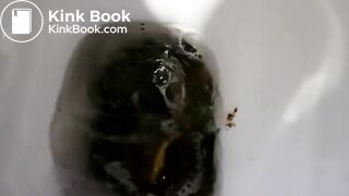 Close up toilet poop
