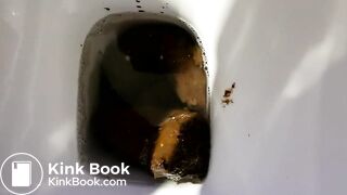 Close up toilet poop
