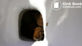 Close up toilet poop