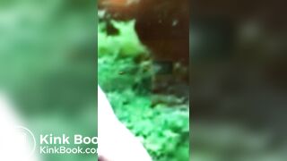 Scat and farts by naked young woman in public