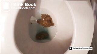 Big toilet dump