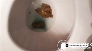 Big toilet dump