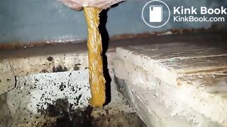 selfie of shitting in public toilet