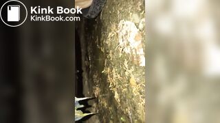 Shitting in park - video 2