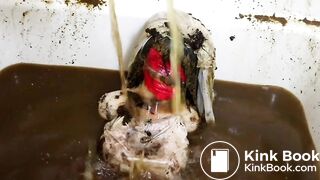 Scat Bath Doll: Mass Turd & Piss