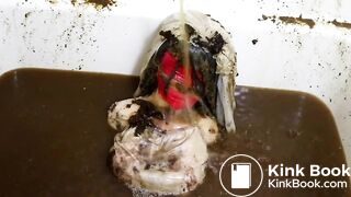 Scat Bath Doll: Mass Turd & Piss