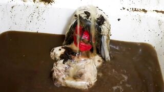 Scat Bath Doll: Mass Turd & Piss