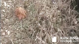 Shit and piss near the railroad