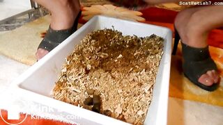 Cool Shit in Toilet of Cats