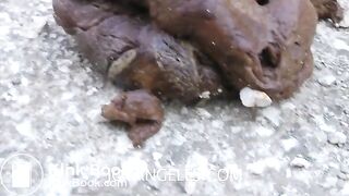 girls pooping - video 4