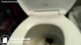 Porcelain Toilet Poop 3