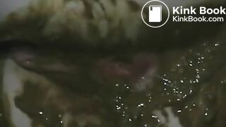 Chair shitting