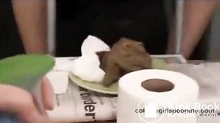 Denvers Monster Poop