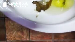 Beautiful Girl Shitting Multiple Times