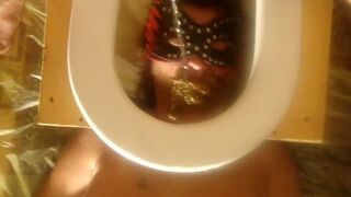 The real human toilet