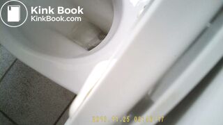 girl pops nice turd on toilet