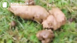 Ferkeline poop outside 2