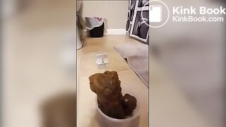 ABSOLUTE MONSTER TURD IN A CUP