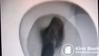Poop clogs toilet