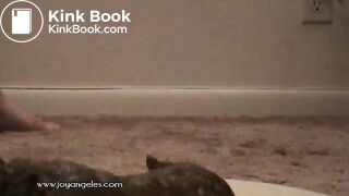 woman giving a birth to a huge log