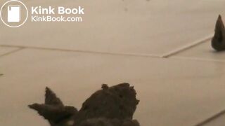 Hot german Teenie pooping 2