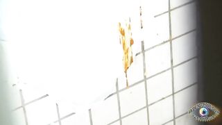 Asians missing the toilet