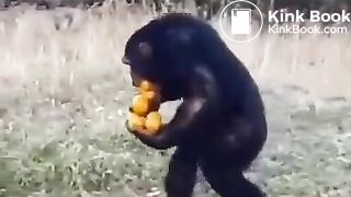 Pee and fart - video 2