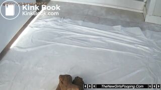 Poop compilation - video 6