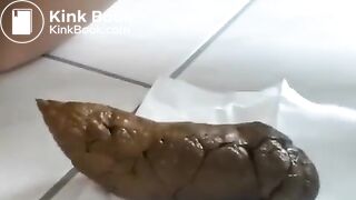 Perfect Turd
