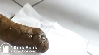 Perfect Turd