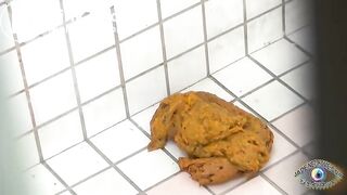 Japanese​ pooping​ in toilet