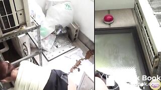 Japanese Diarrhea - video 7