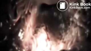 Your Full Trip Through My Digestive Gut of Love