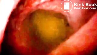 Your Full Trip Through My Digestive Gut of Love