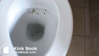 video 5 - video 3