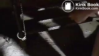 shit feeding - video 2