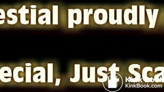 Nothing Special. Just Scat FiveSome