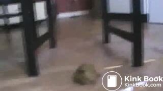 Amateur poop - video 2