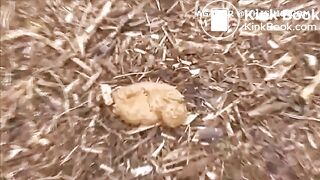 Beautiful blonde Swedish girl peeing and shitting