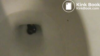 Pooped on and flushed