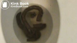 Pooped on and flushed