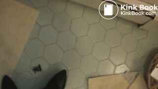 Pooped on and flushed