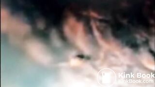 What It Means to be Eaten & Digested Alive