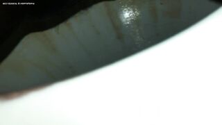 Turd knocking @ my back door