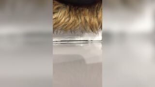 Loud poop on restaurant spycam